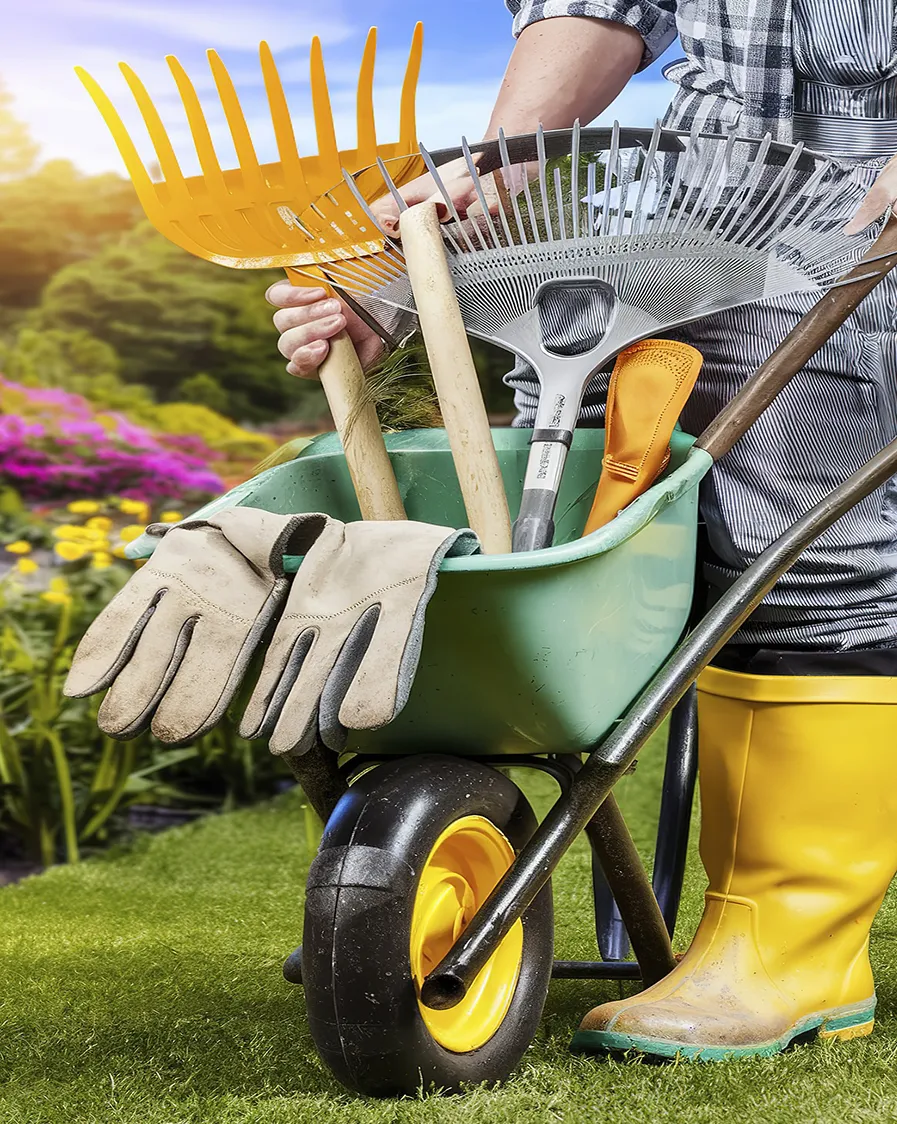 Revitalização de Jardins