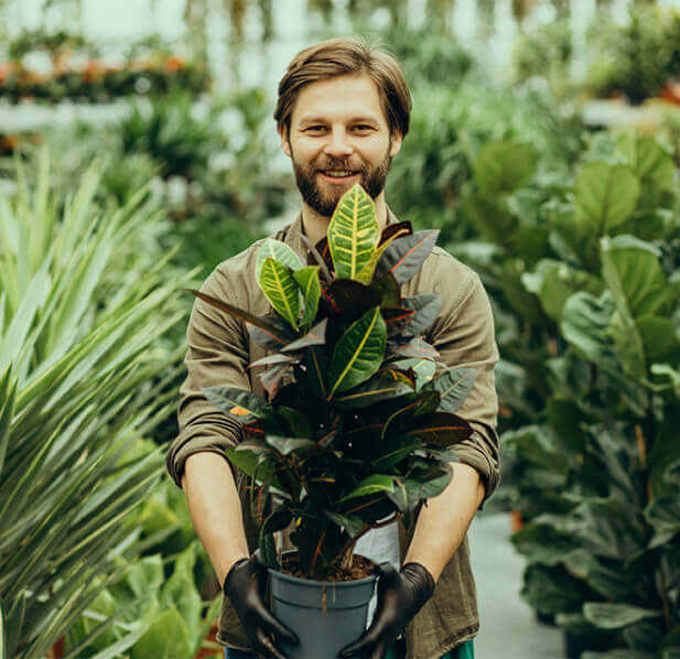 Revitalização de Jardins