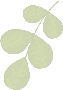 Revitalização de Jardins