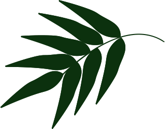 Revitalização de Jardins