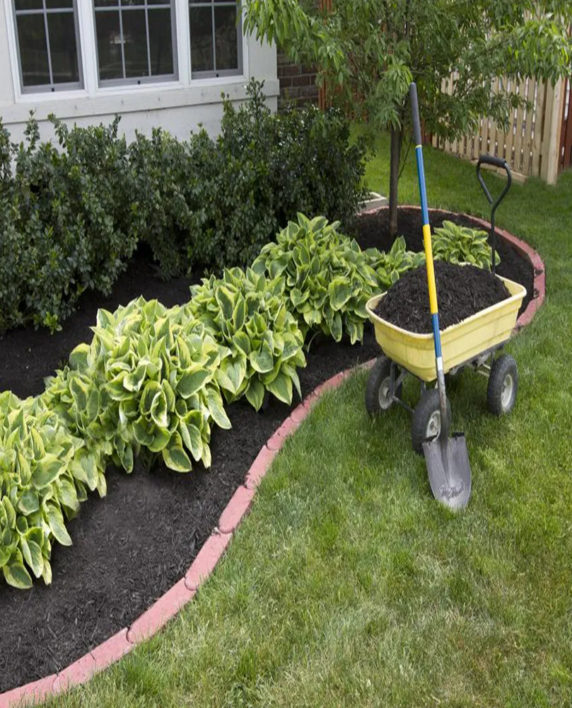 Asafe Jardinagem
