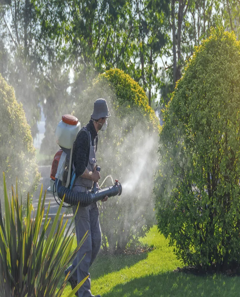 Asafe Jardinagem